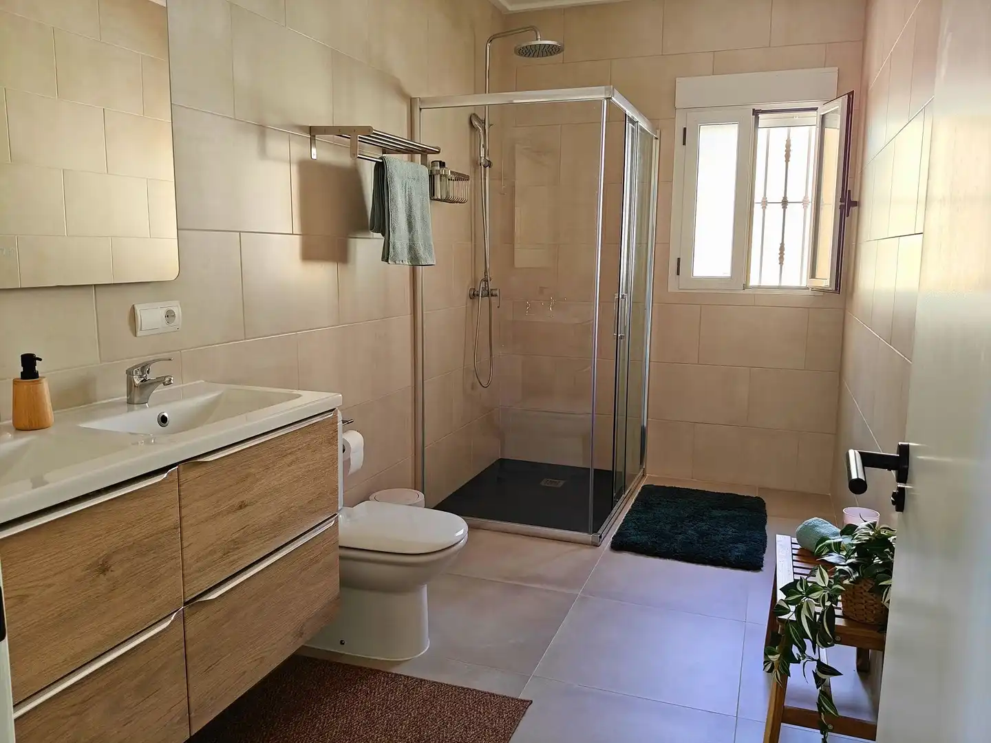 Bany de Casa o xalet en venda en Petrer amb Terrassa