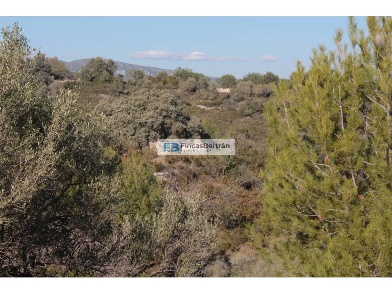 Rural land for sale in Poligono 36, parcela 240, imagen 5