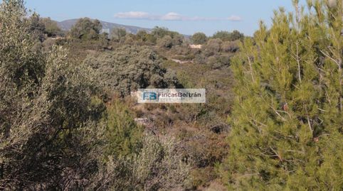 Finca rustica con pozo propio y magníficas vistas al mar, imatge 5