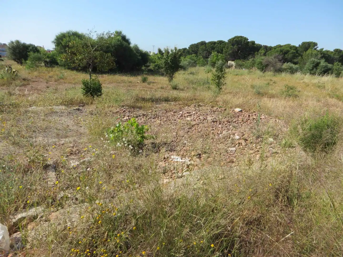 Residential land for sale in Plaça Poligono 7 255, imagen 7