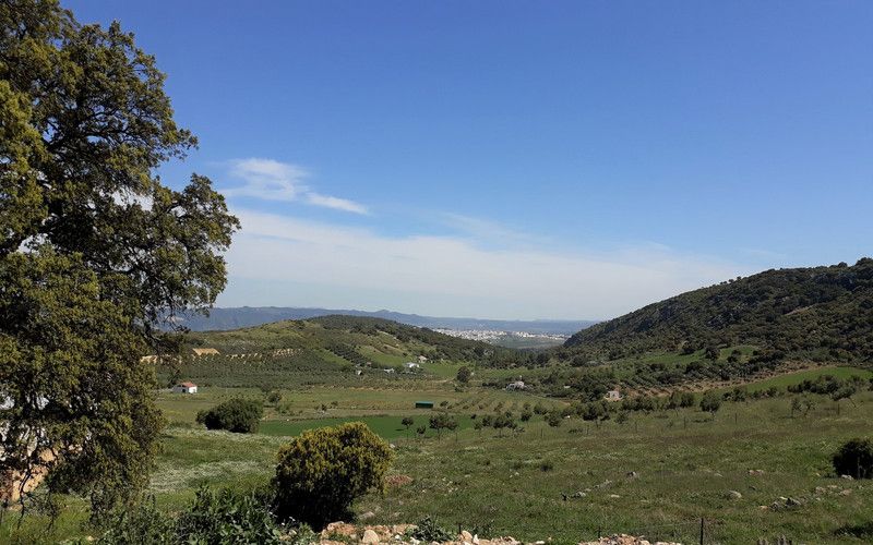Premises for sale in Partidas Sur