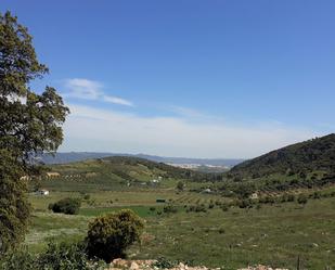 Premises for sale in Partidas Sur