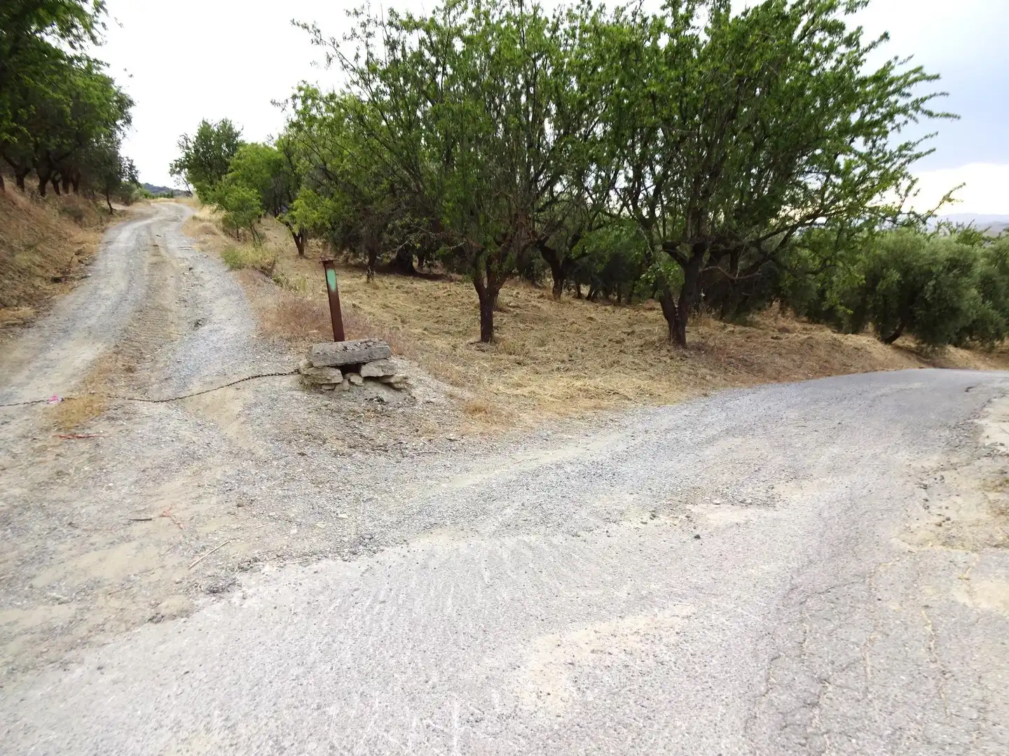 Lands and plots for sale in Pinos Genil, imagen 12