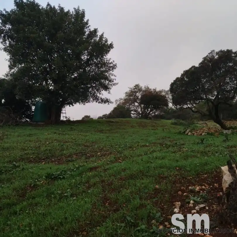 Terreni e lotti in vendita a Benaocaz, imagen 22