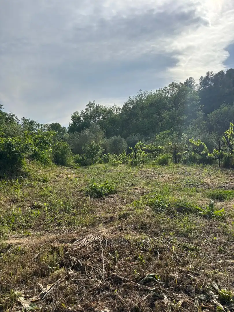 Land for sale in El Masroig