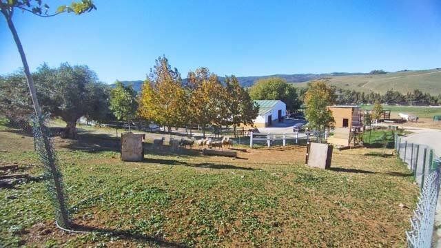 Vista exterior de Finca rústica en venda en Jimena de la Frontera