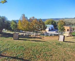 Vista exterior de Finca rústica en venda en Jimena de la Frontera
