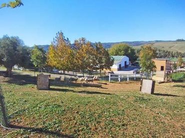 Casa rustica in vendita a Jimena de la Frontera