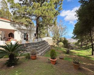 Jardí de Finca rústica en venda en Telde amb Calefacció, Jardí privat i Terrassa