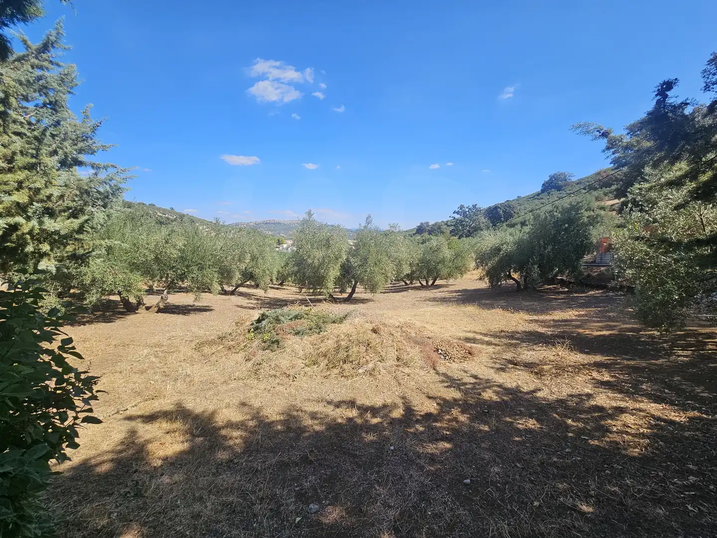 Casa en venta en Montefrío, imagen 29