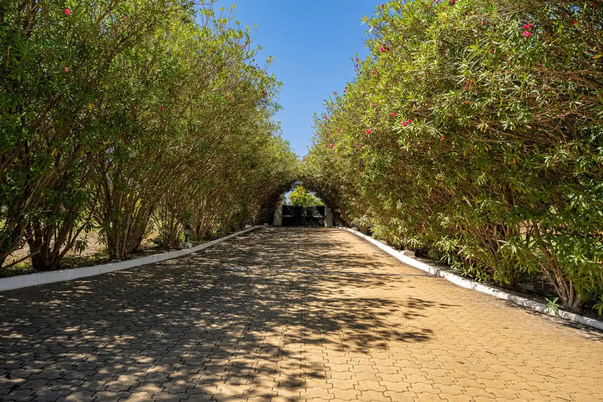 Casa rústica en venta en Benamara - Atalaya, imagen 48