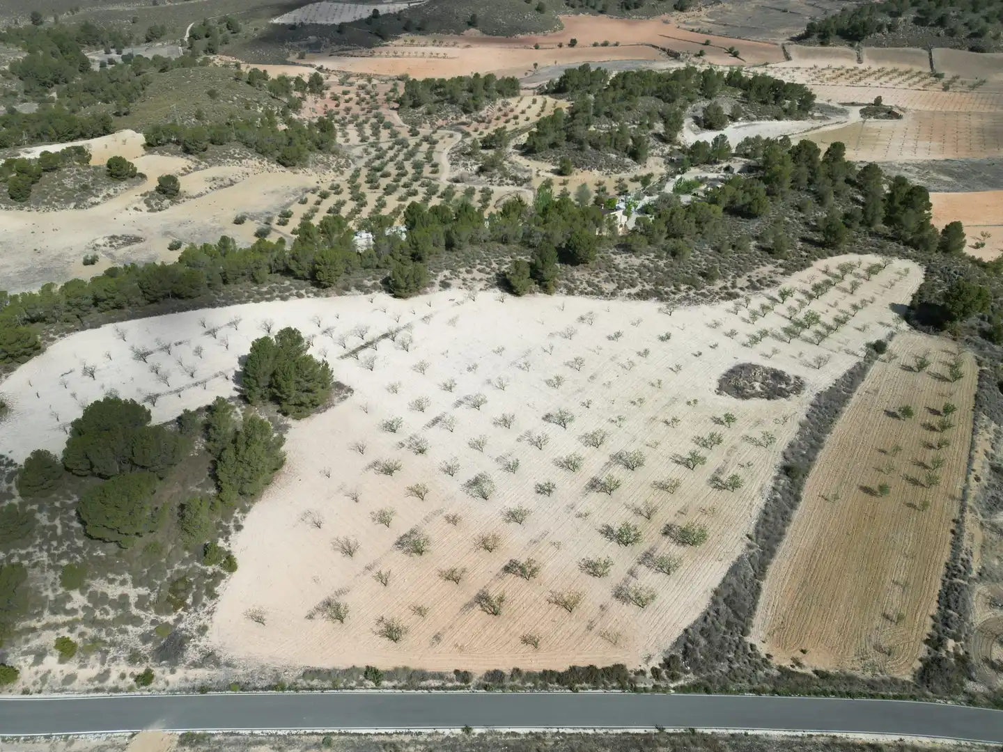 Terreny residencial en venda a Jumilla, imagen 9