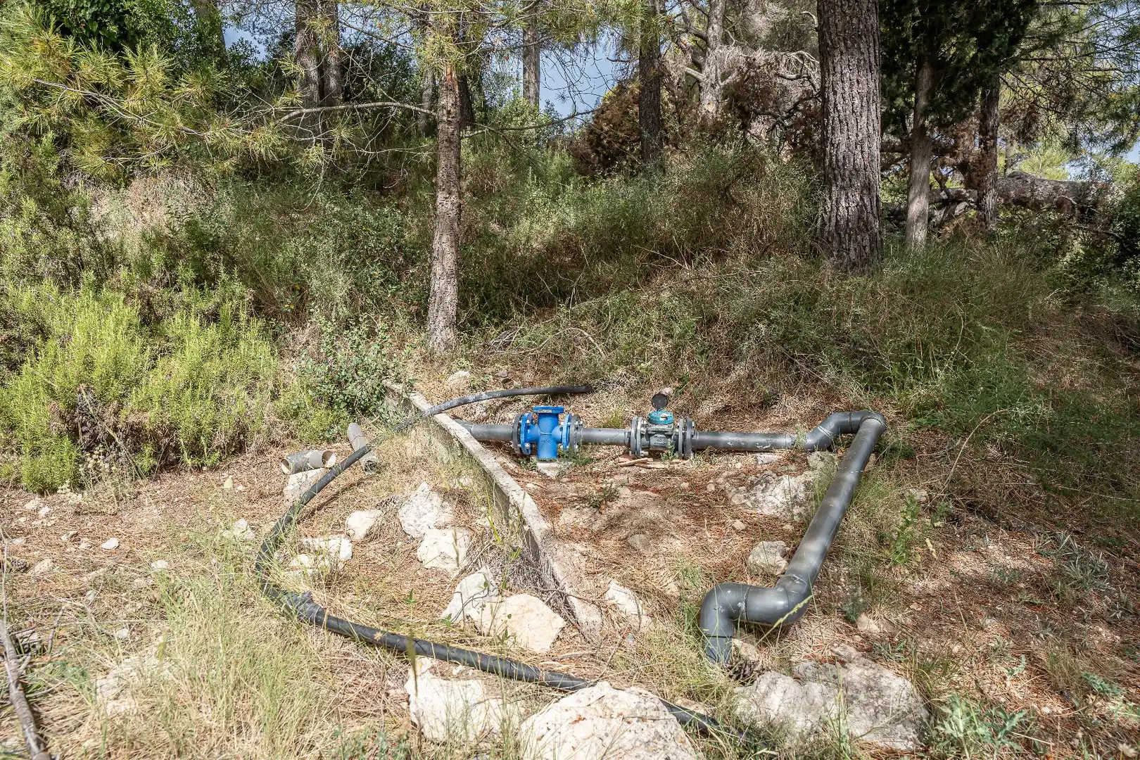 Jardín de Finca rústica en venta en Moratalla con Piscina