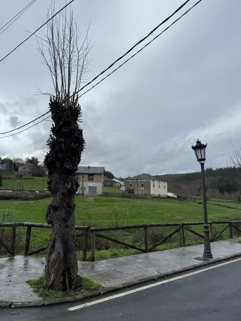 Maison à vendre à Grandas de Salime - Puente del Infierno 15, imagen 38