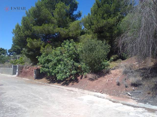 Terreno en Venta en Torres Torres
