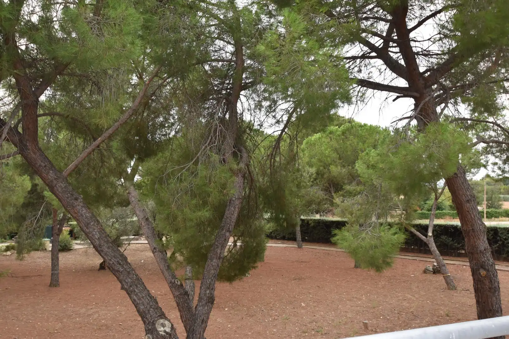 Casa o chalet en venta en Fuente El Saz de Jarama