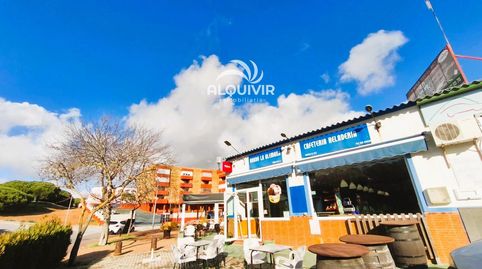 Photo 5 of Premises for sale in Sector S, Caño Guerrero, Almonte