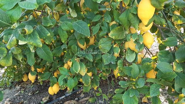 Terreno en Venta en N/A, -1 en Vistahermosa