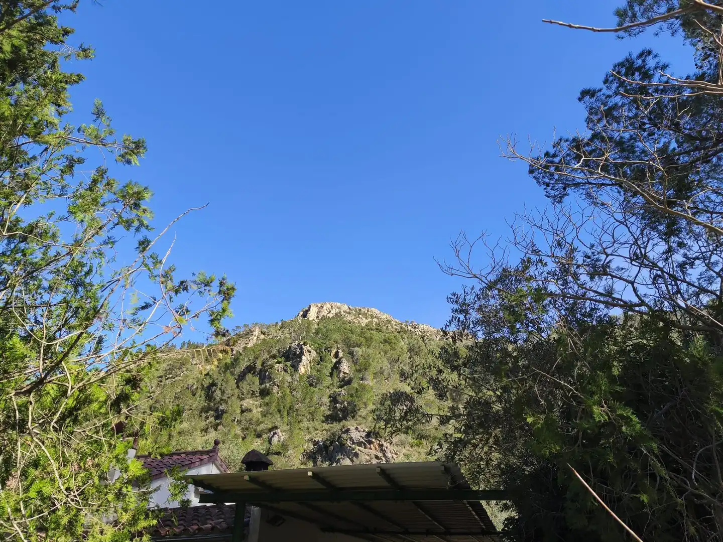 Casa con jardín en venta en Alfara de Carles, imagen 5