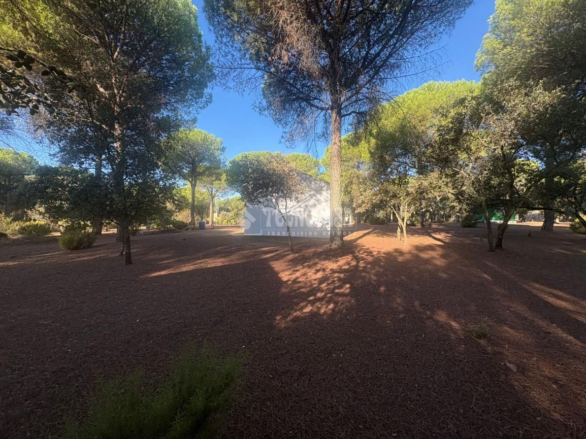 Jardín de Finca rústica en venta en  Jaén Capital con Jardín privado