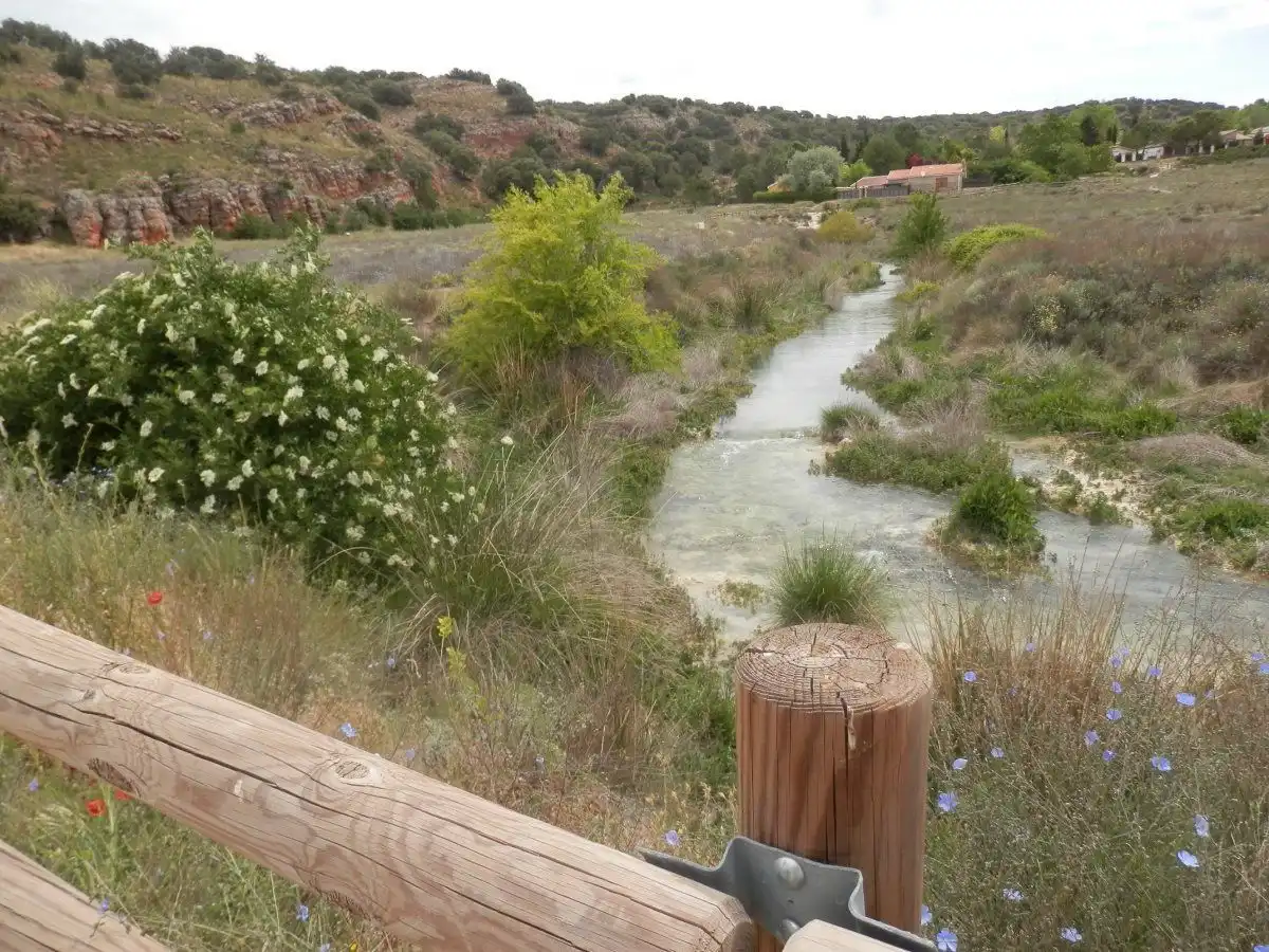 Casa en venta en Ossa de Montiel, imagen 11
