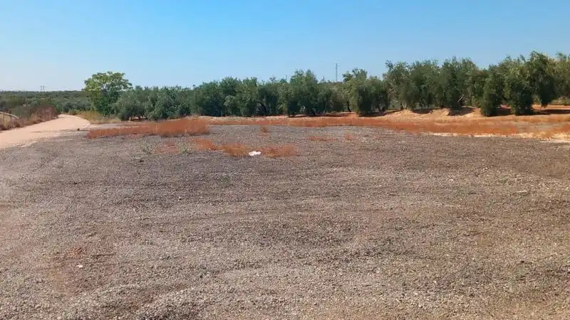 Terreni e lotti in vendita a Villanueva de la Reina, imagen 4