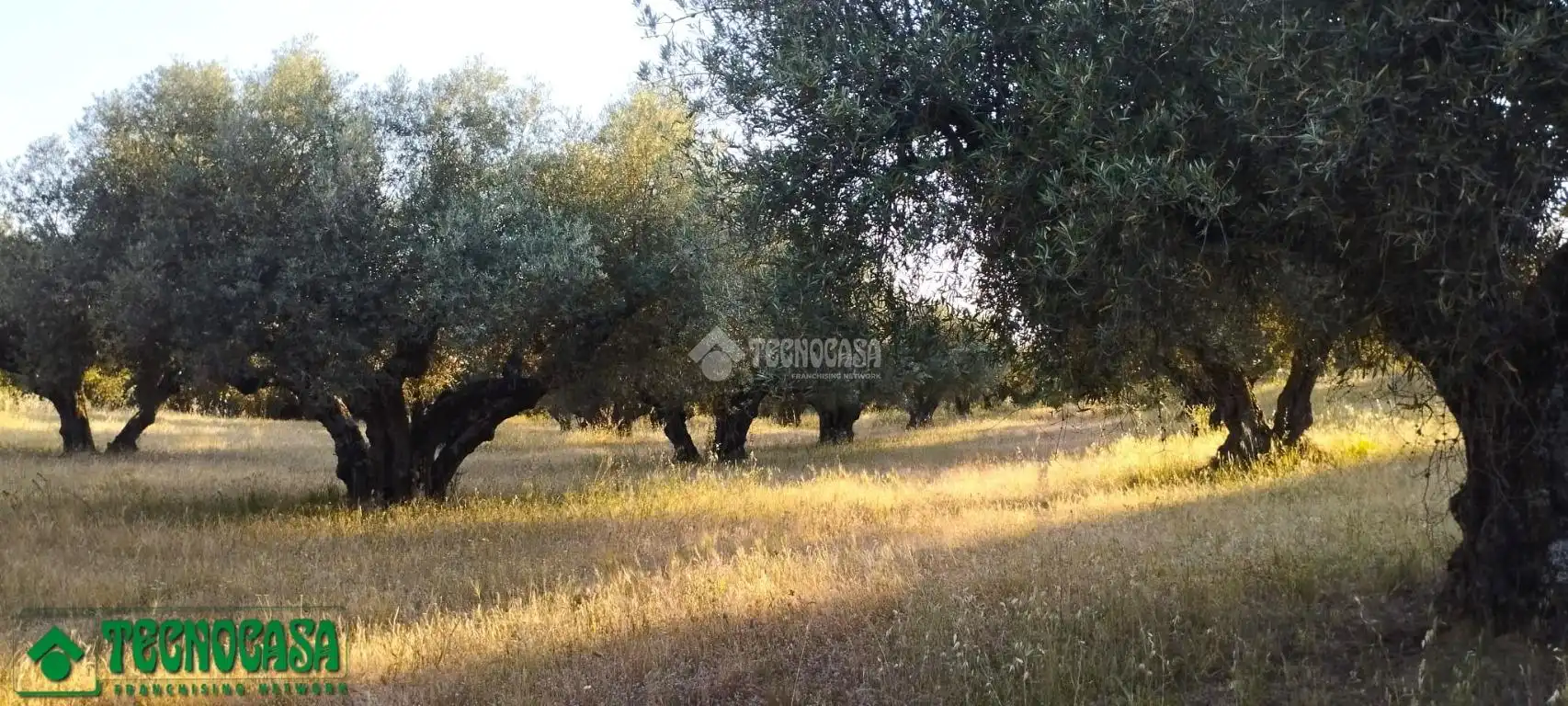 Terreni e lotti in vendita a Méntrida, imagen 2