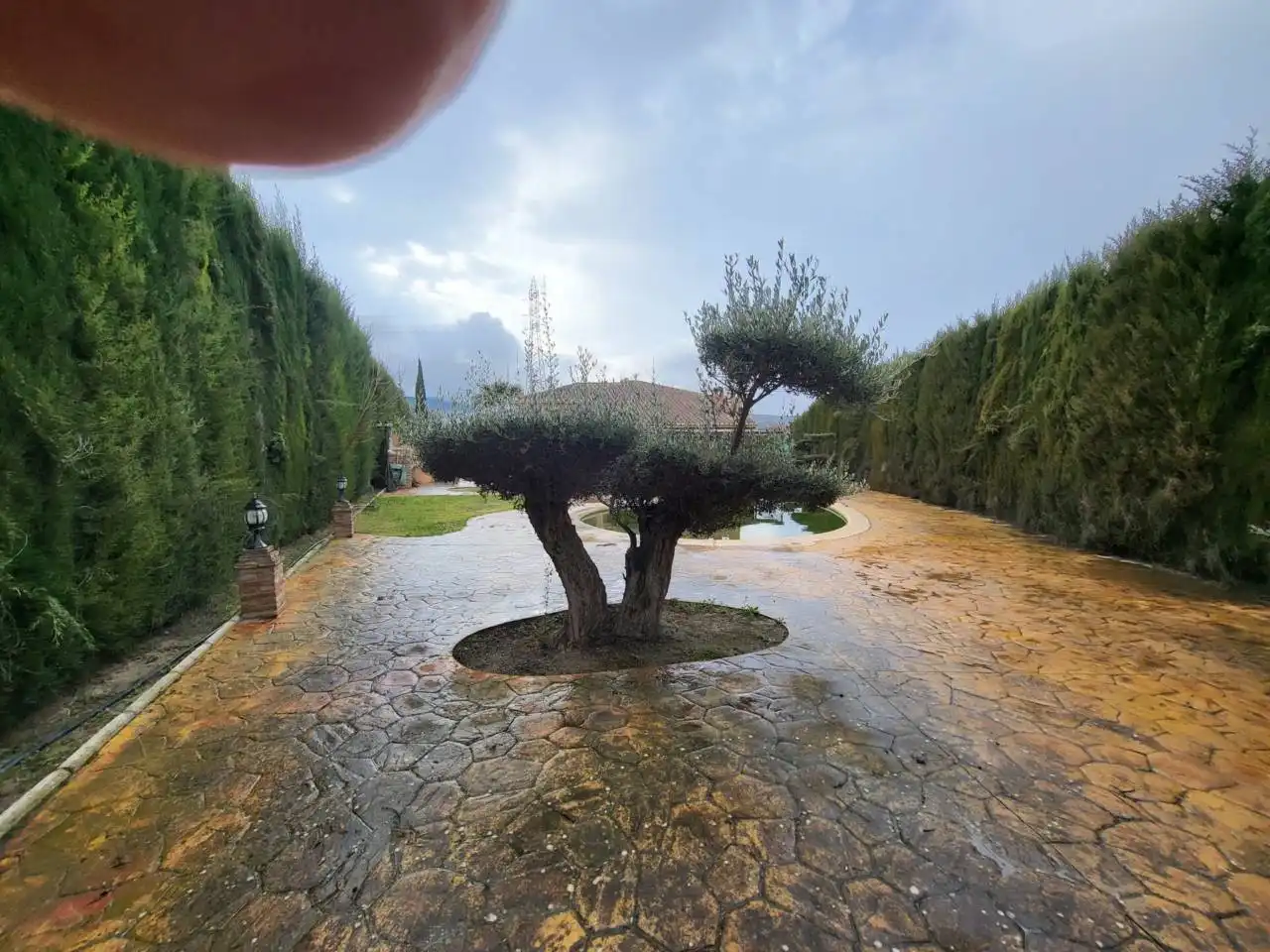 Chalet con piscina en venta en Baza, imagen 19