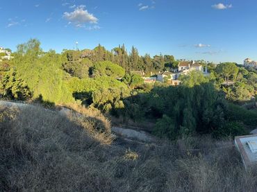 Terreno residenziale in vendita a Diseminado Poligono 15 1