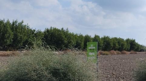 Photo 3 of Country house for sale in Totana, Murcia