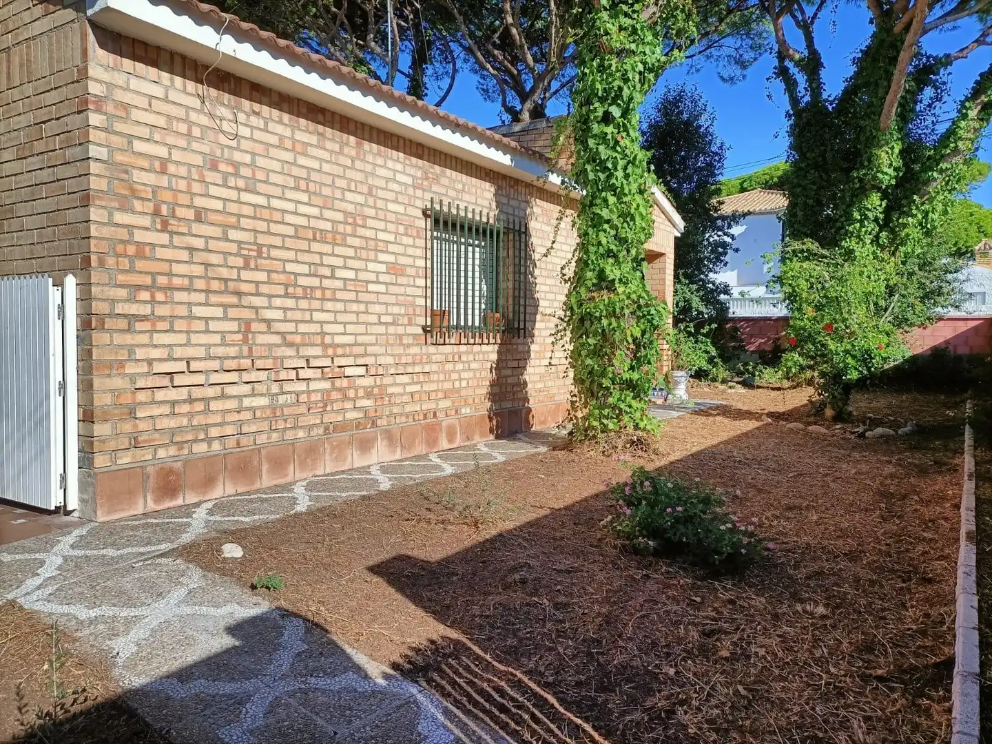 Vista exterior de Casa o xalet en venda en La Barrosa
