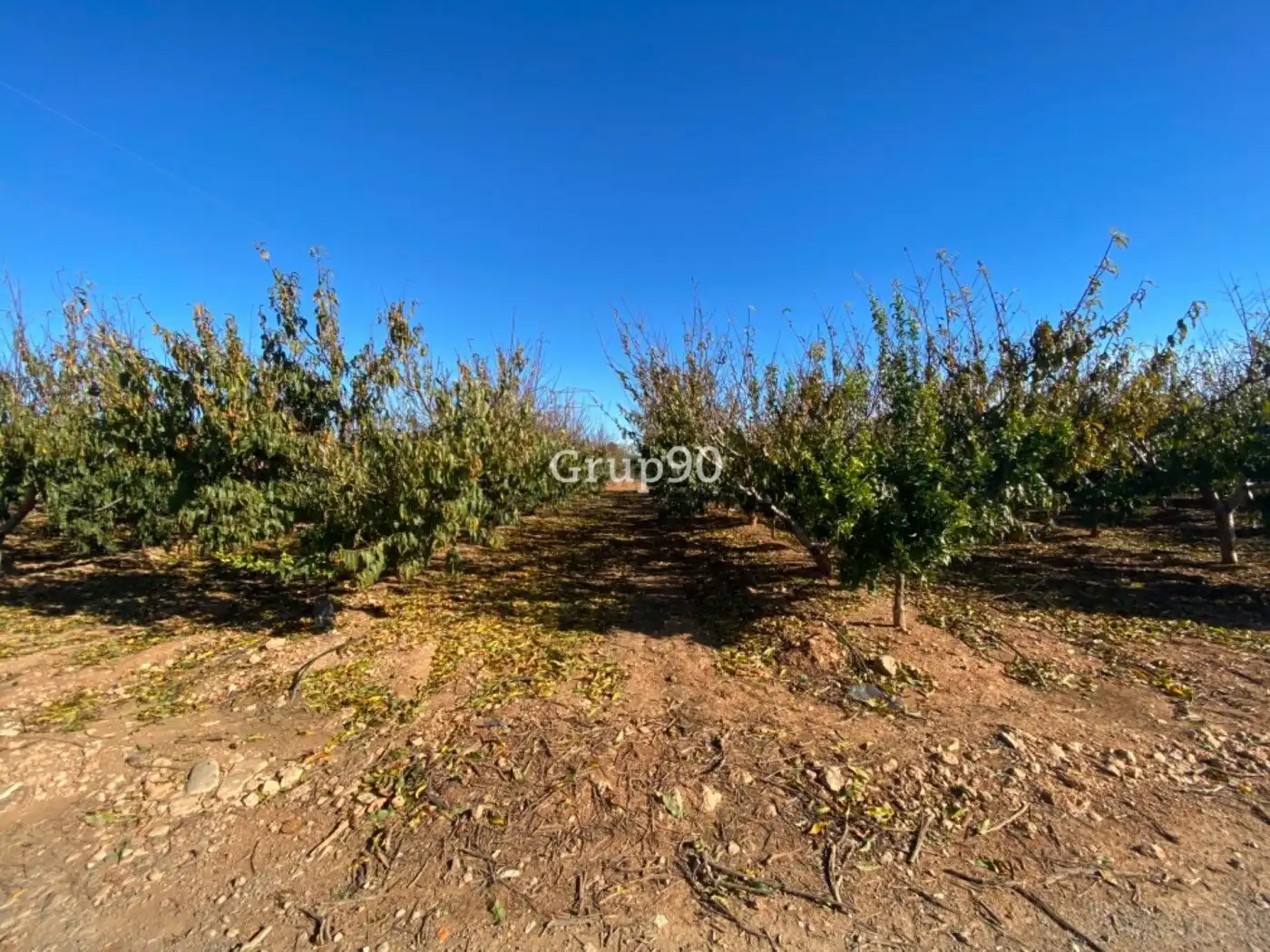 Local en venta en Cabanes