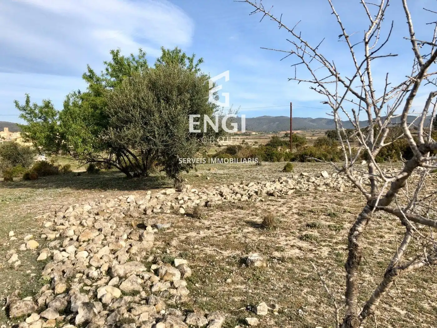 Terreno rustico in vendita a Gregal del, imagen 6