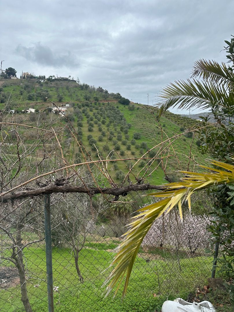 Casa o xalet en venda en Iznate