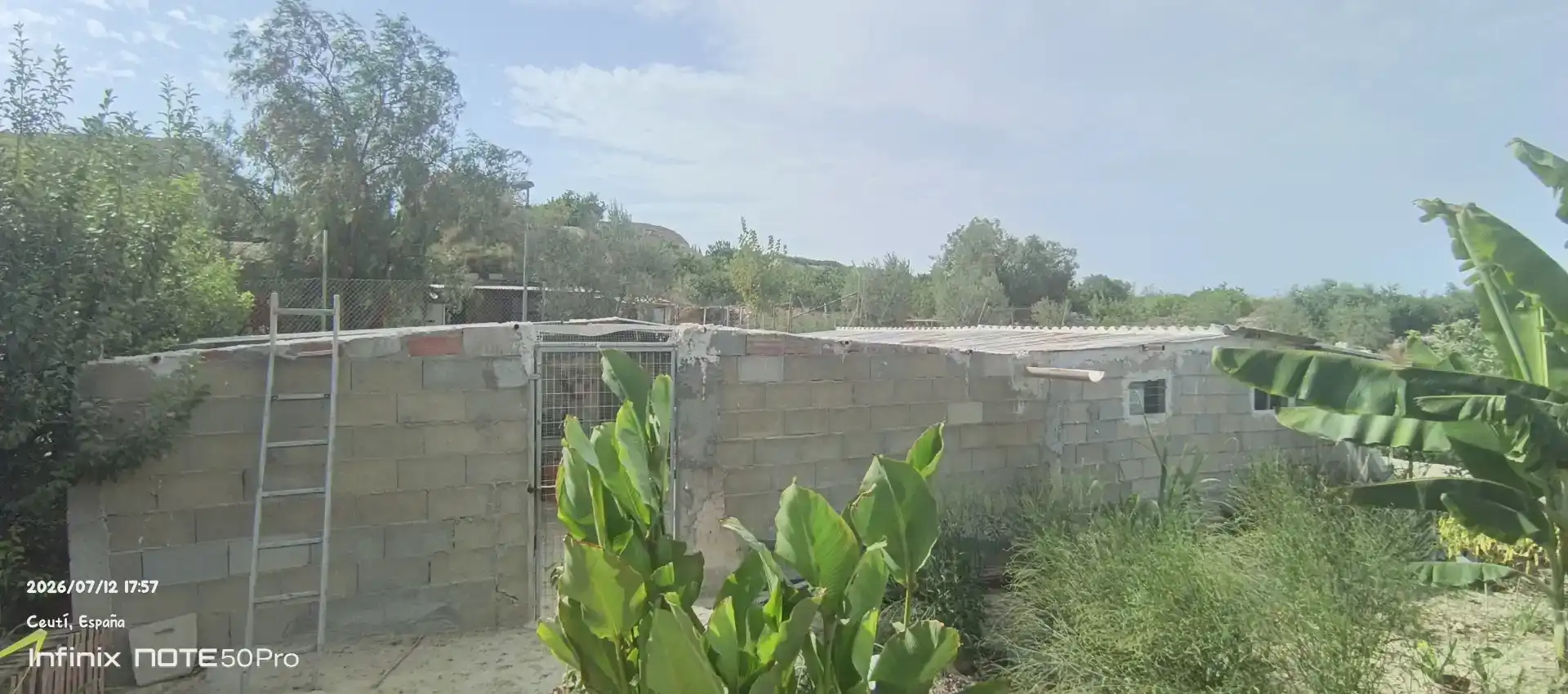 Finca rústica en venda en Cieza