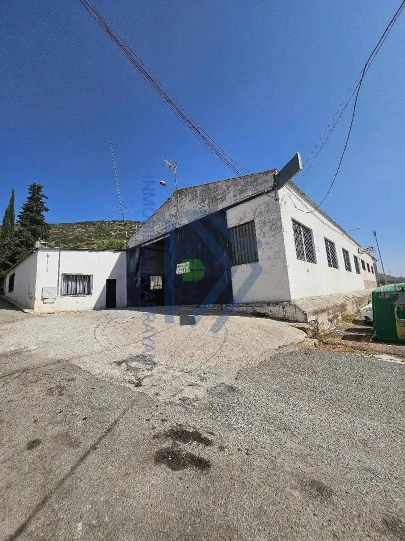 Industrial building for sale in Iznalloz