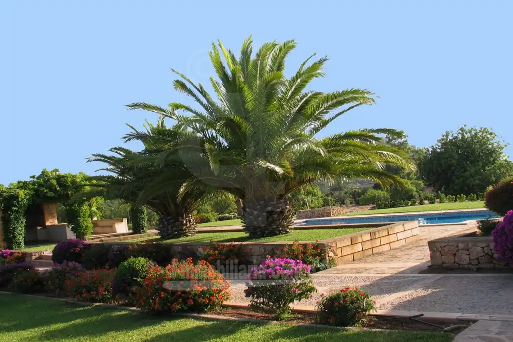 Country house with garden for sale in S'Horta - Cas Concos des Cavaller - Es Carritxó, imagen 21