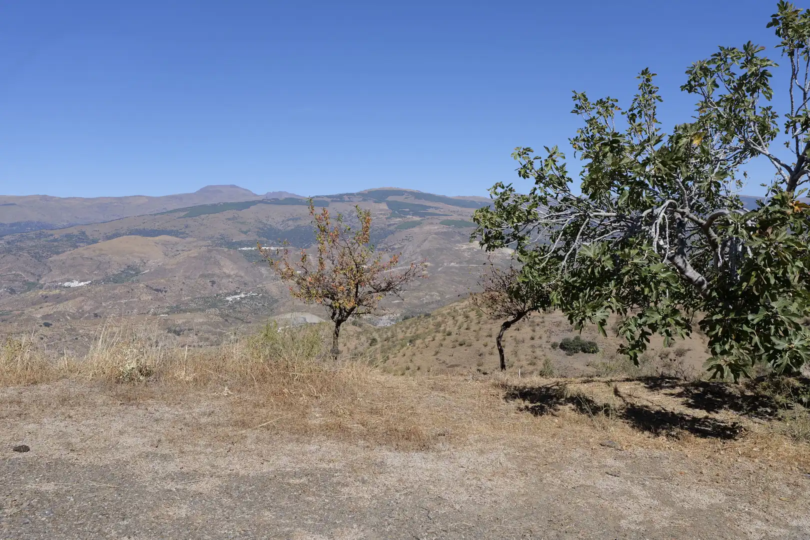 Vista exterior de Finca rústica en venta en Cádiar