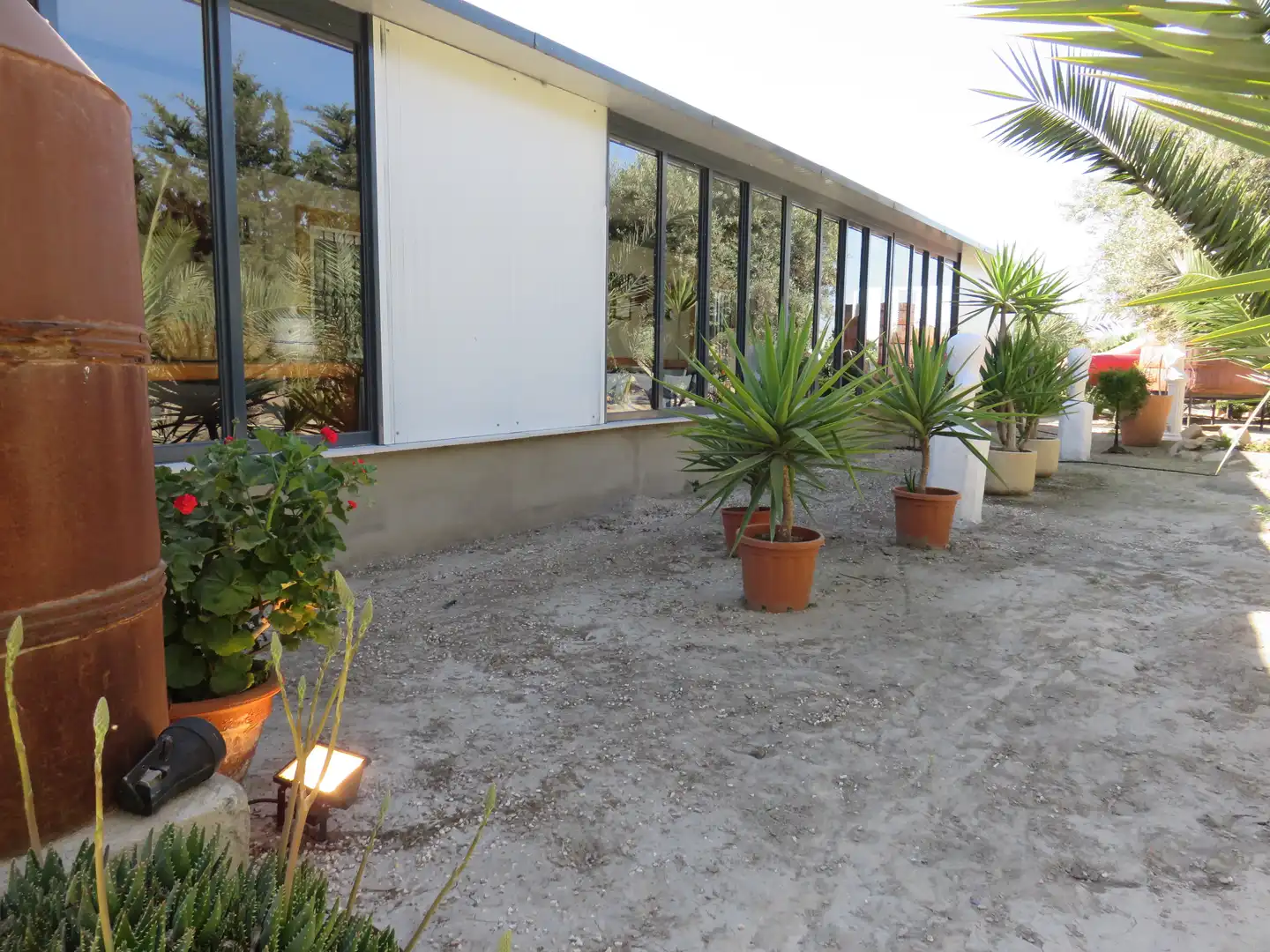 Jardín de Finca rústica en venta en Murcia con Jardín privado, Terraza y Trastero
