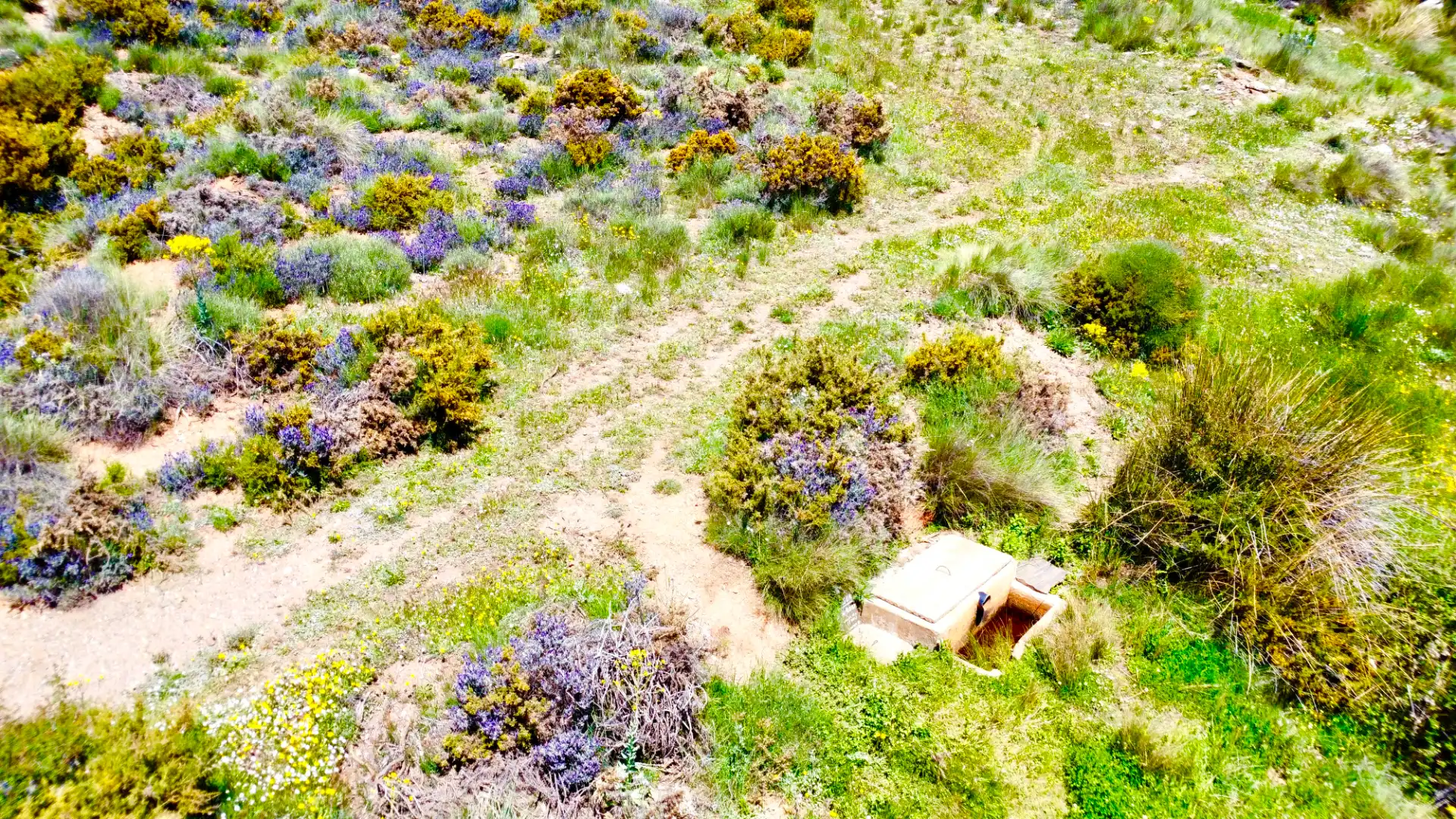 Terreni e lotti in vendita a Nevada, imagen 62