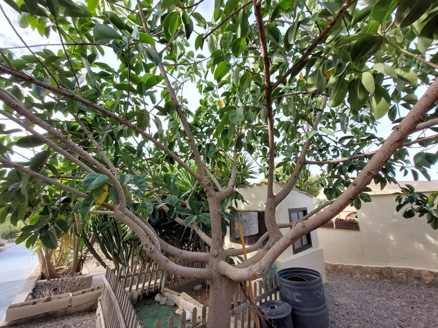 Casa rustica con piscina in vendita a Tébar - Los Arejos, imagen 73