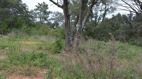 TERRENO EN BOSCOS DEL MONTNEGRE, immagine 5