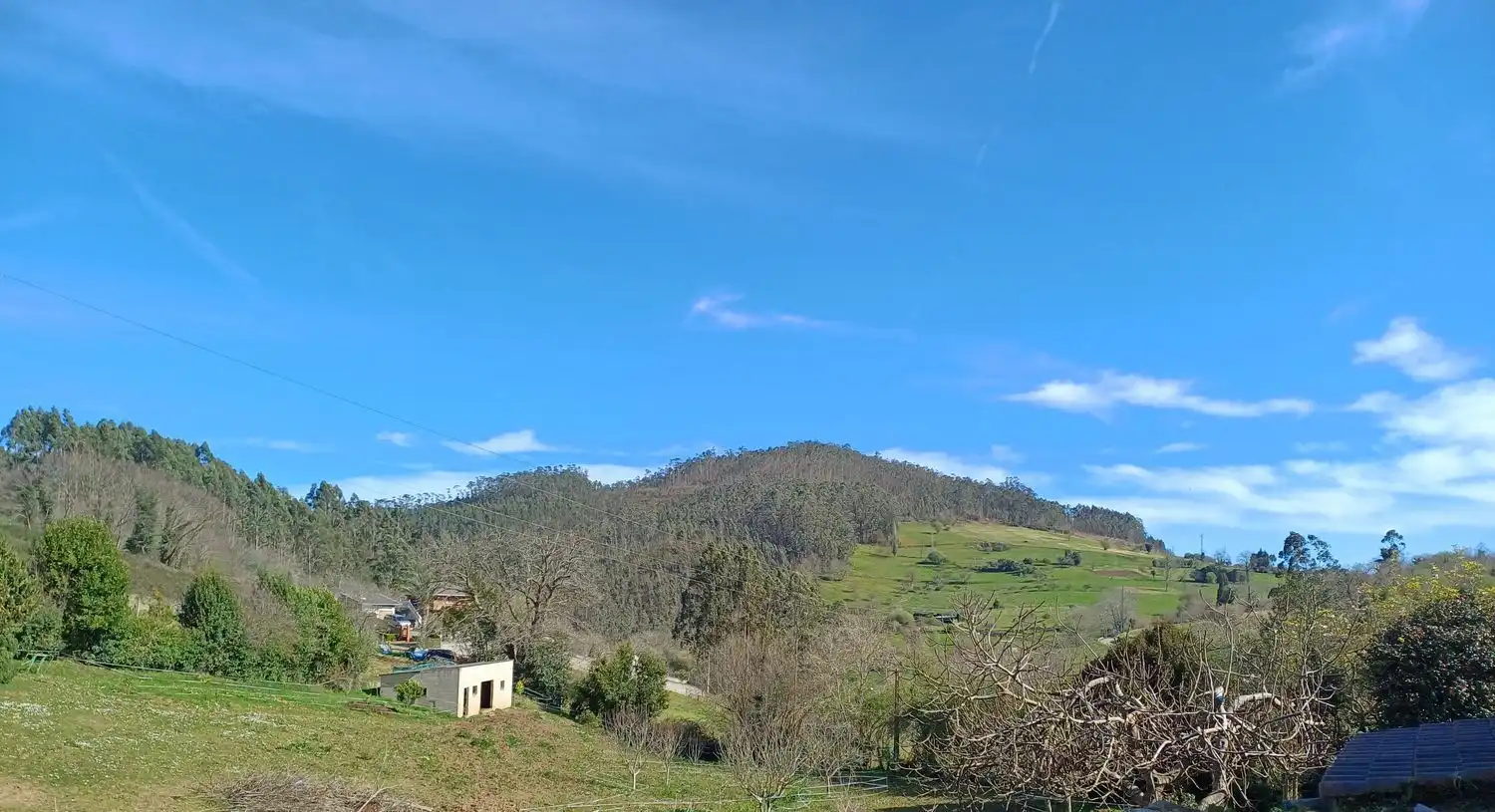 Vista exterior de Casa o xalet en venda en Illas amb Terrassa, Traster i Piscina