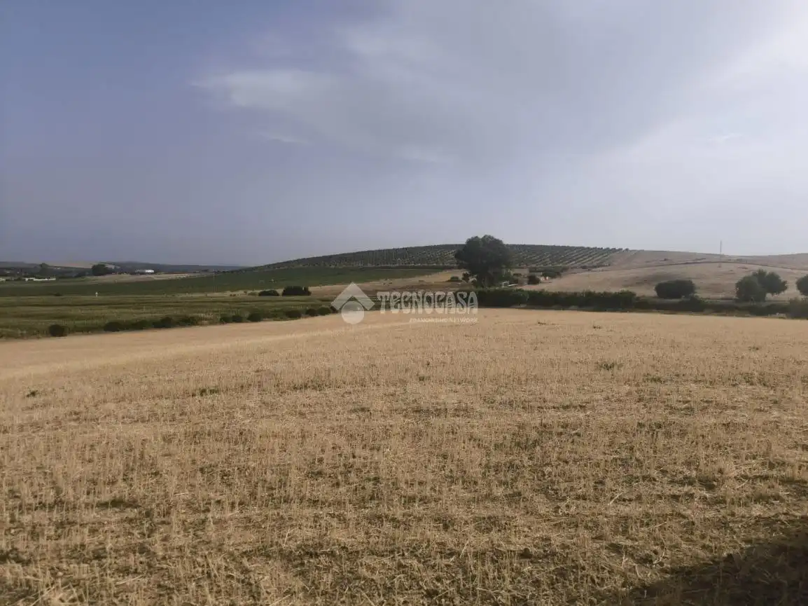Rustikales Grundstück zum Verkauf in Arcos de la Frontera, imagen 6