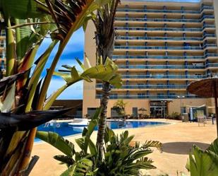 Piscina de Apartament en venda en Guardamar del Segura amb Aire condicionat, Calefacció i Terrassa