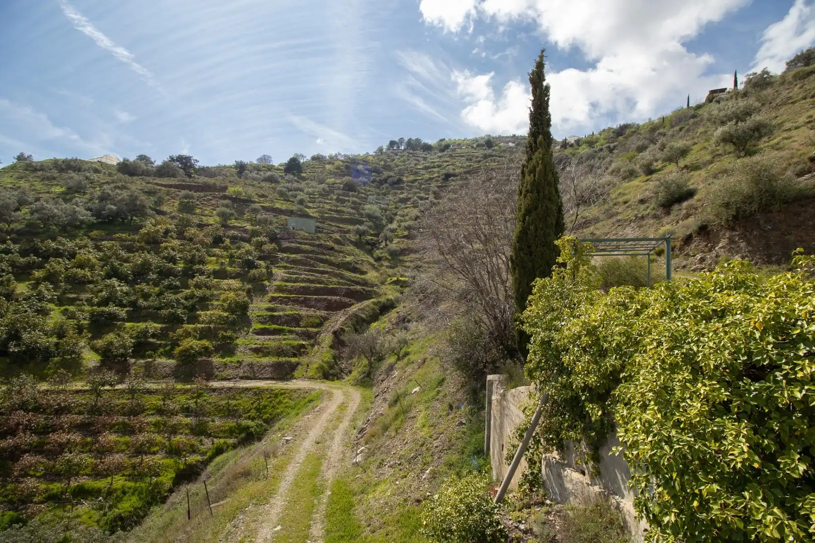 Jardí de Casa o xalet en venda en Cómpeta