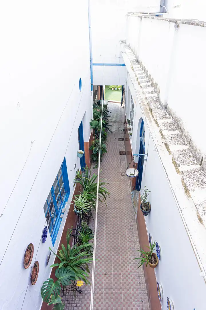 Casa o xalet en venda en Montellano amb Aire condicionat, Jardí privat i Terrassa