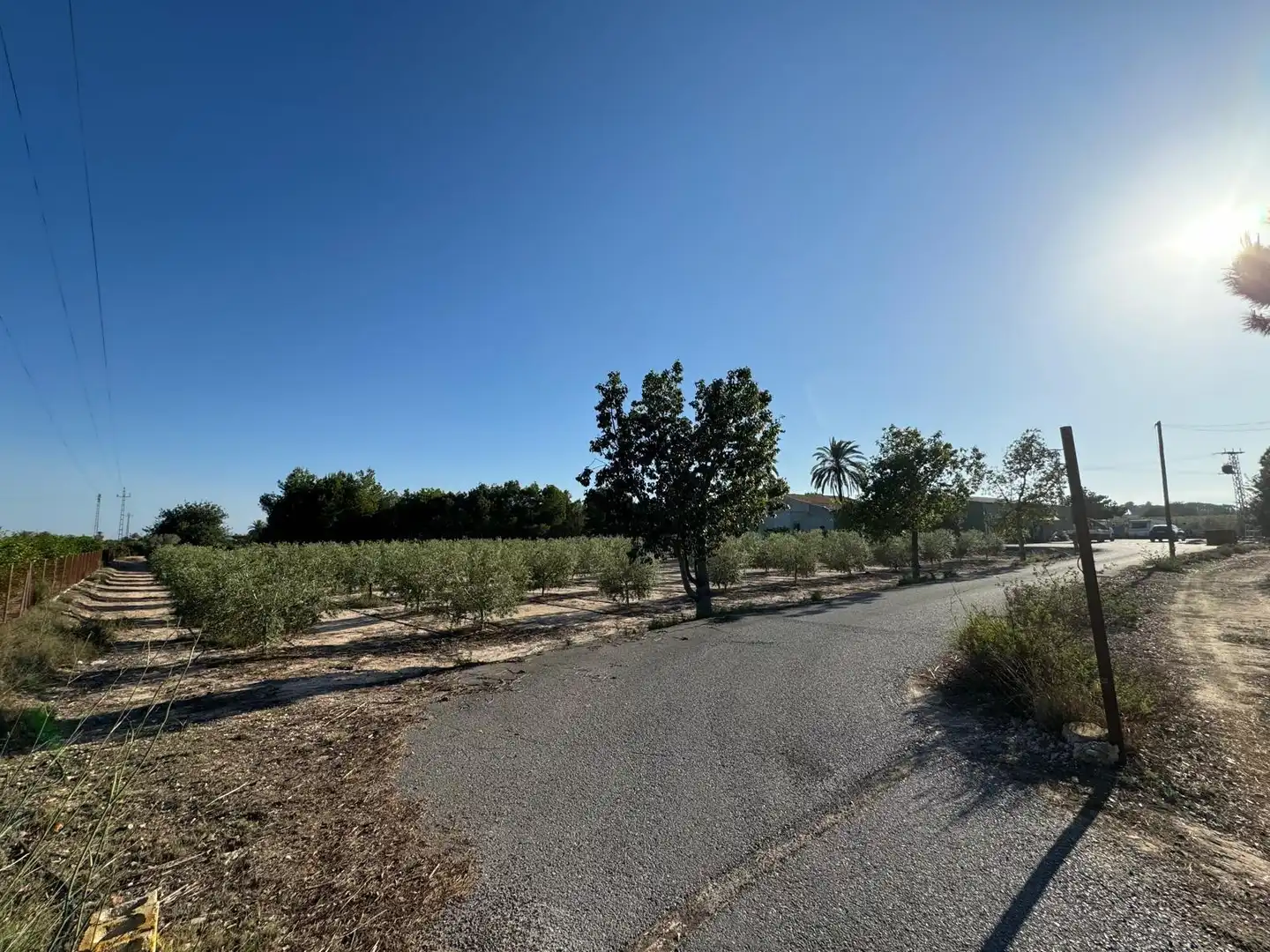 Villa à vendre à Partida Polígono 62 Parcela 80 DAIMES. ELCHE/ELX (ALICANT 62, imagen 48