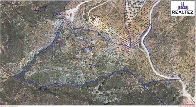 Terreno en Venta en Alcolea