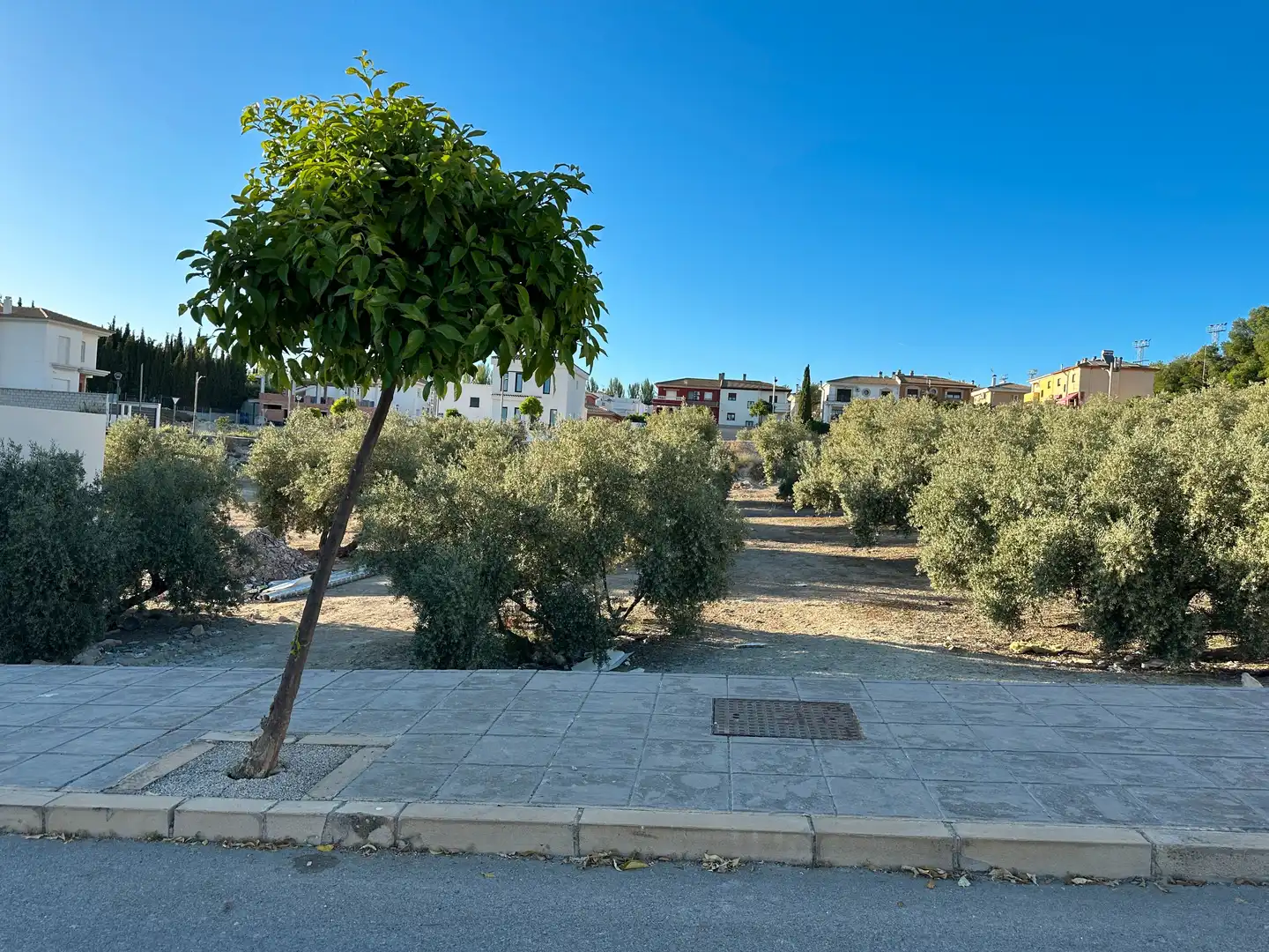 Terreni e lotti in vendita a Úbeda, imagen 5